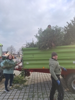 Christbaumsammelaktion 2025